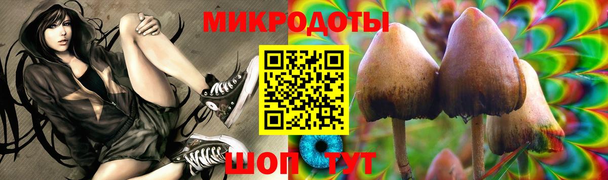 Псилоцибиновые грибы прущие грибы  Вход с VPN  Благовещенск 